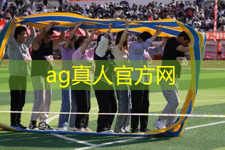 ag真人平台官方：模拟战争的3D游戏