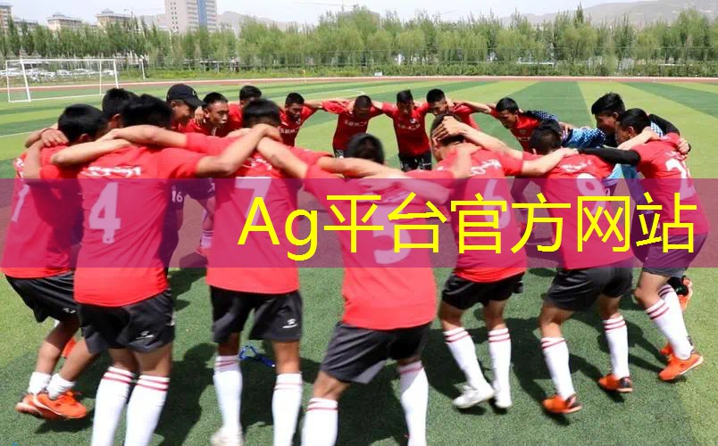 AG总部：什么游戏的配音和原画最好