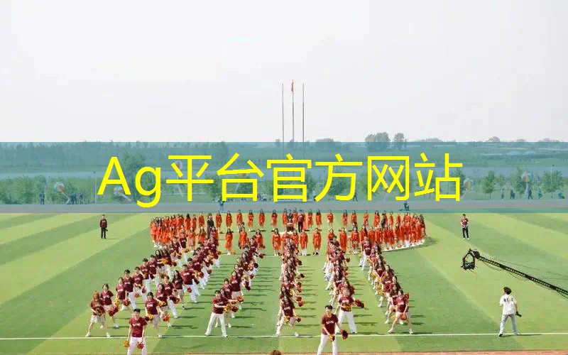 AG真人：一个单机足球3d游戏叫什么