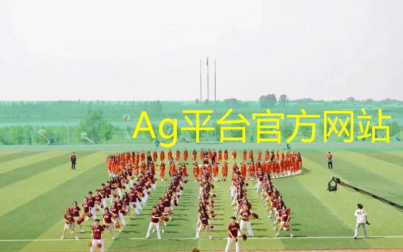 ag真人官方网：孙悟空3d版动漫游戏