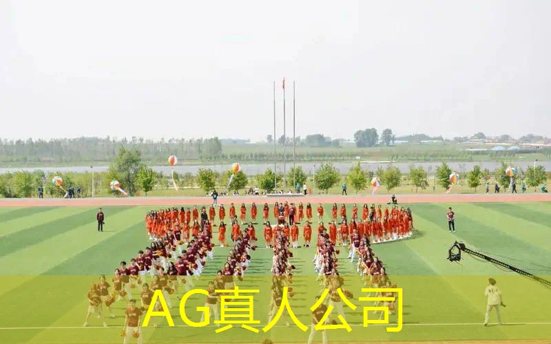 ag真人官方网：七龙珠3d游戏一比一还原动画