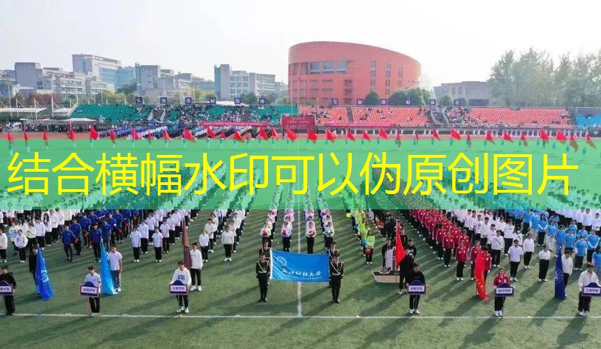 新闻图片