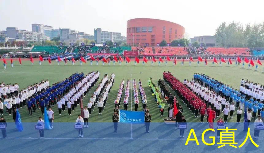 AG真人：第一3d格斗游戏手游推荐