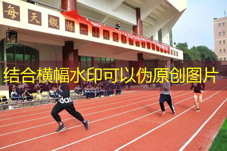 新闻图片