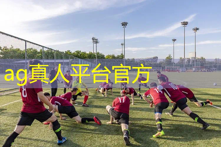 带生肖的小程序游戏叫什么