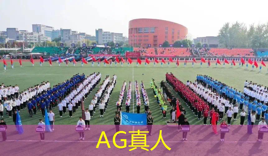 3d红警是什么游戏