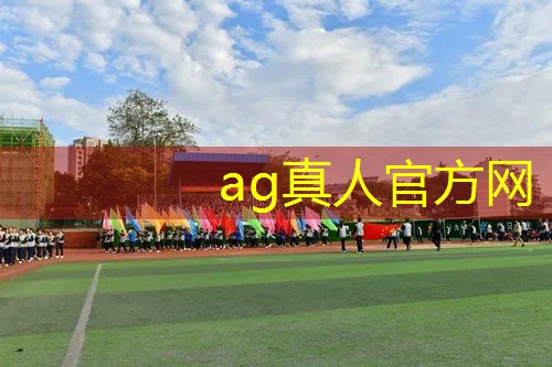 Ag平台官方网站：模拟地铁3d撞车游戏破解版