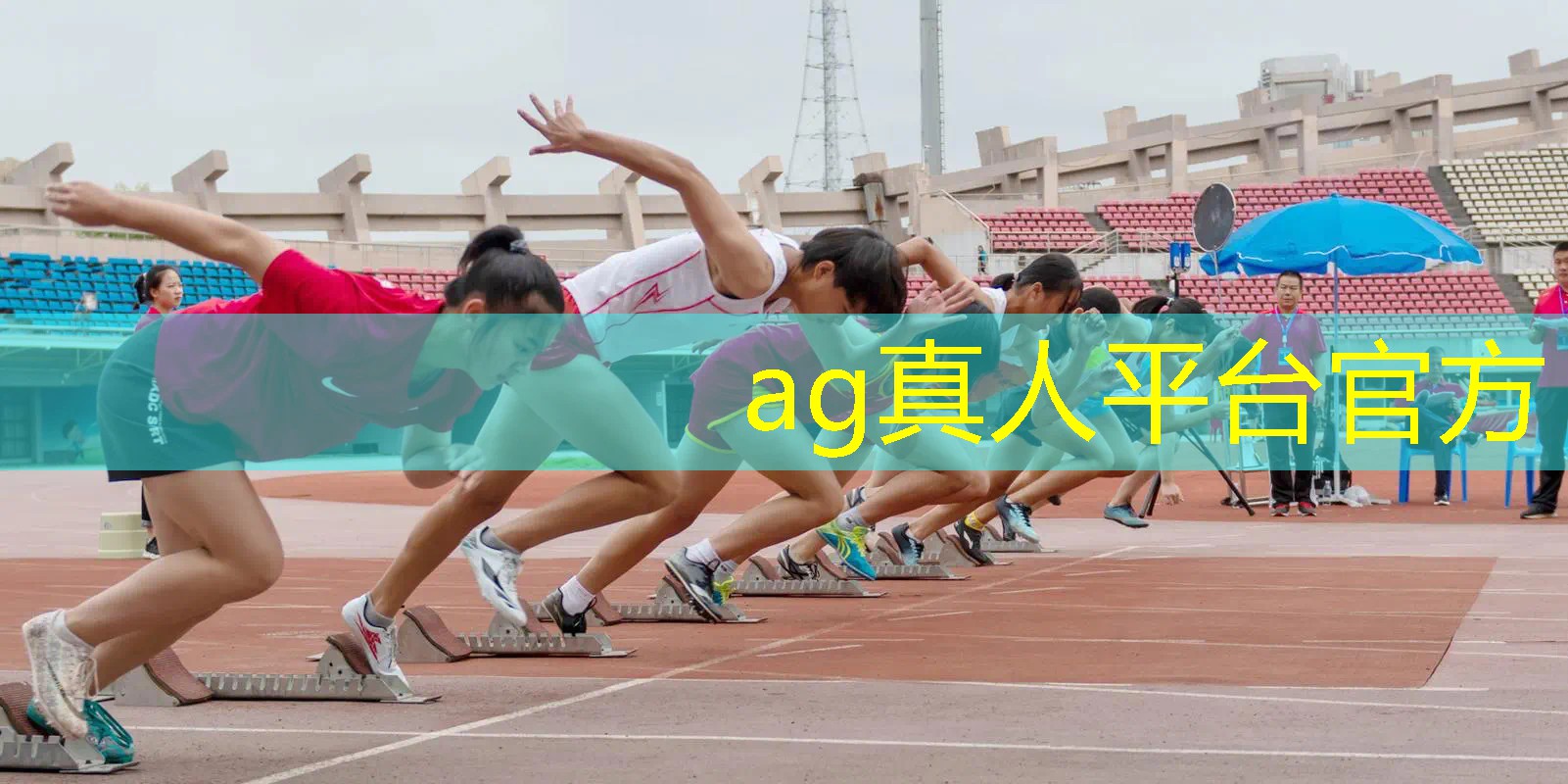 AG真人：摔角革命3d游戏音乐叫什么