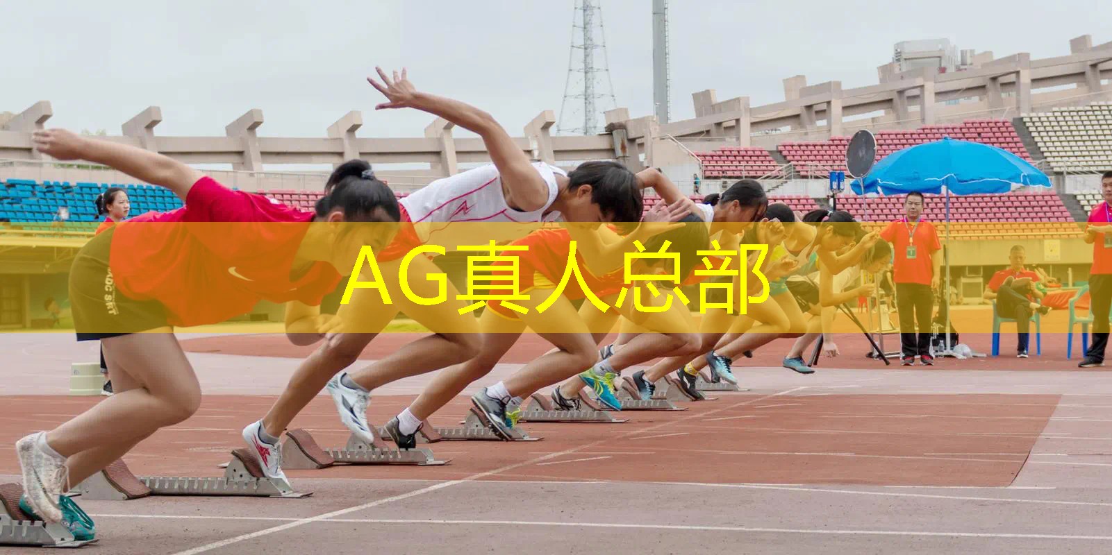 AG真人：3d模拟格斗的游戏