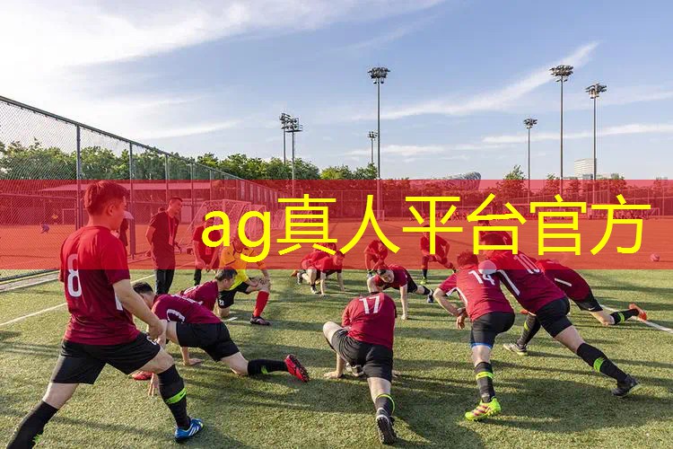 AG真人国际官网：搞笑3d游戏买汉堡的游戏