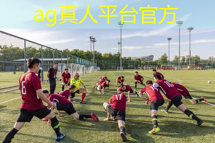 AG真人：手机开启游戏原画模式