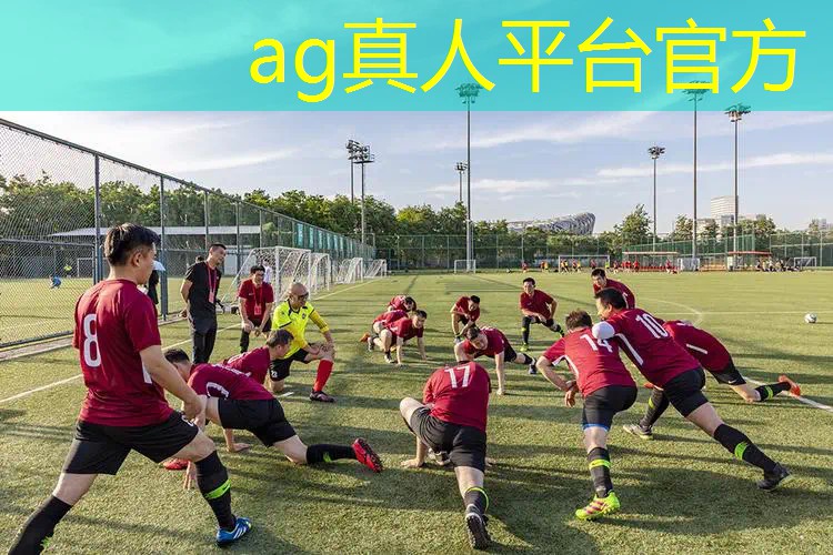 Ag平台官方网站：游戏开发多个程序怎么交流