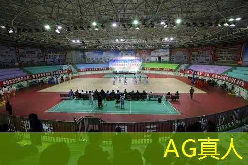 ag真人集团：游戏小程序发展历程怎么写