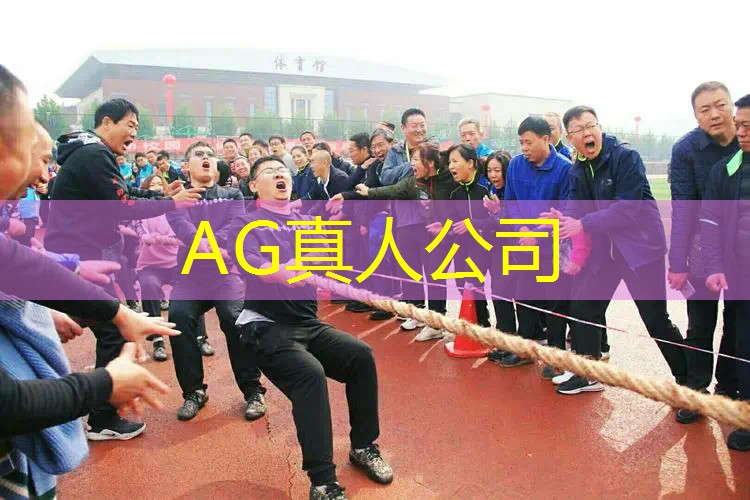主播电脑同款宝可梦3d游戏