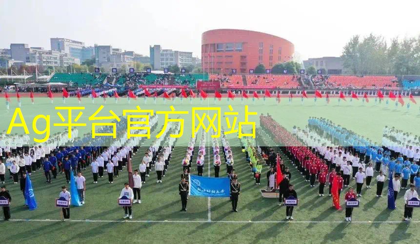 ag真人平台官方：工匠3D建造游戏怎么立马建家