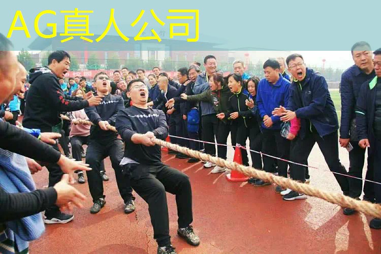 ag真人官方网：青玉司南佩游戏原画