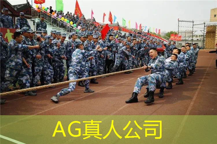 游戏蔑视的原画是什么意思