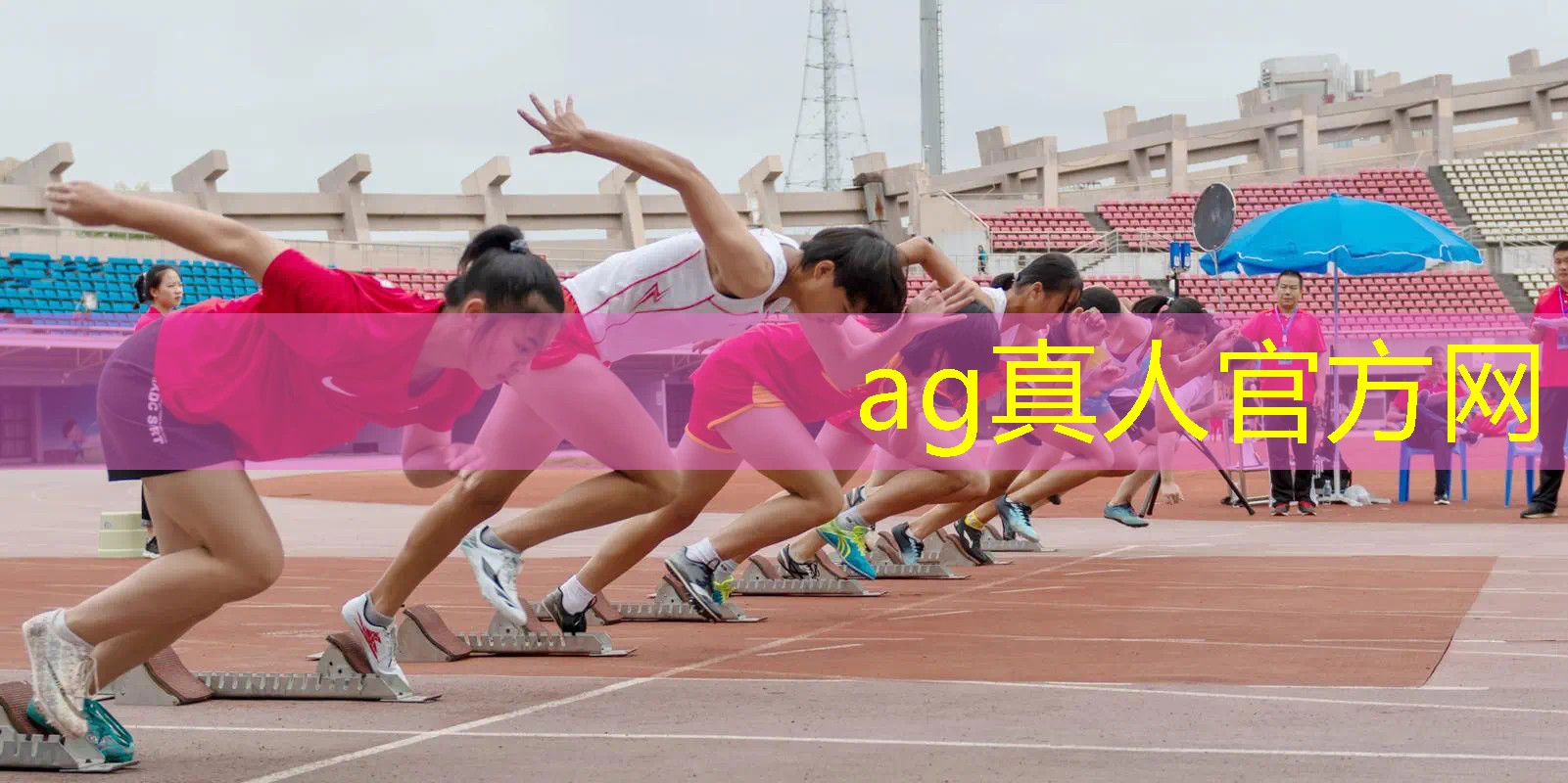 大姐姐3d回合制游戏