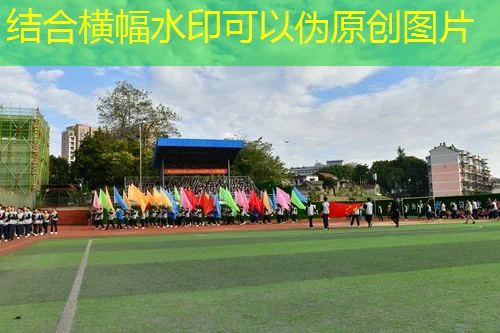 3d游戏新增规则最新版