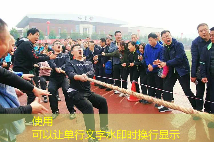 主播电脑同款宝可梦3d游戏