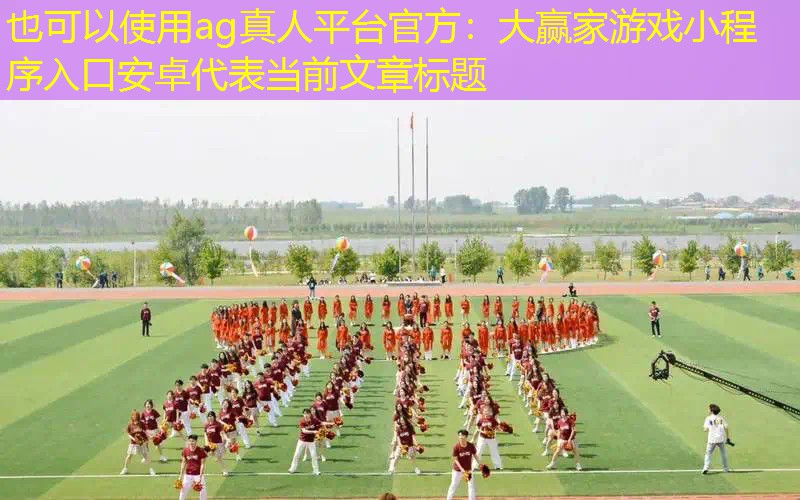 大赢家游戏小程序入口安卓
