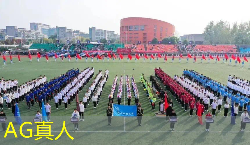 工匠3D建造游戏怎么立马建家