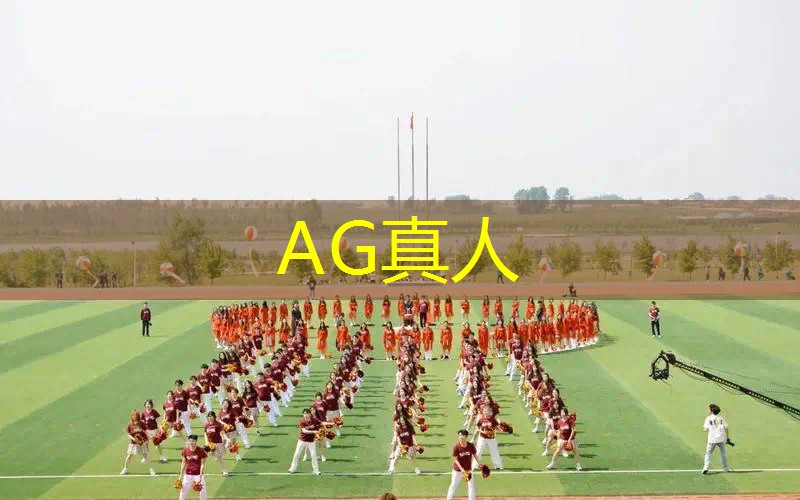 遥控飞机3d游戏