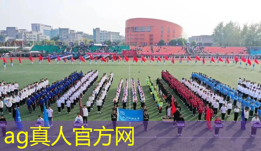 怎么装回3d迷宫游戏盒子