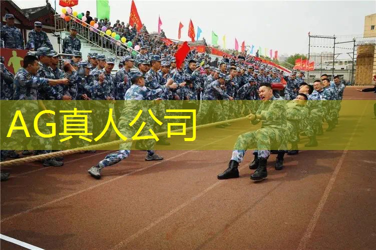 易碎卷3D游戏破解版