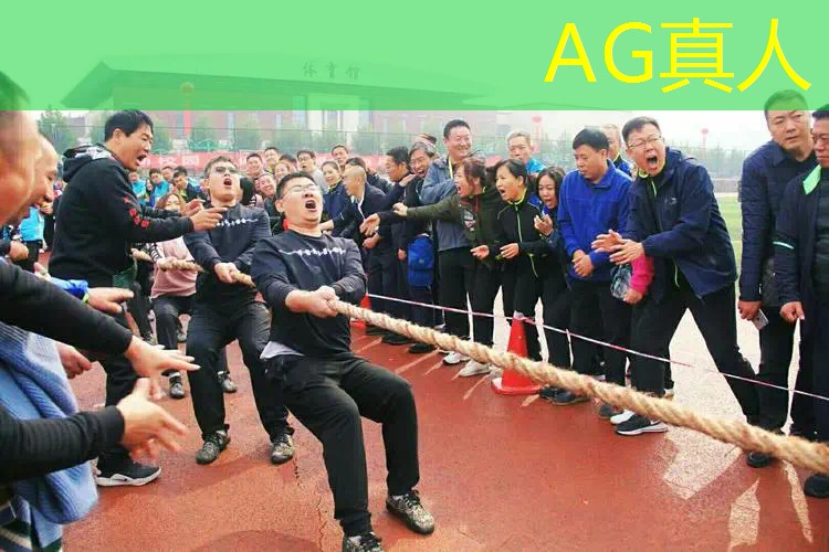 原画师做的游戏是什么意思