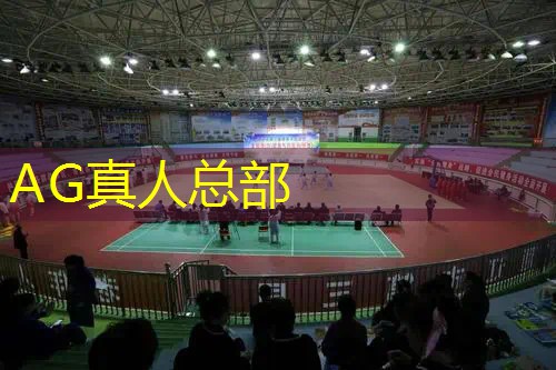 高画质3d战争游戏推荐